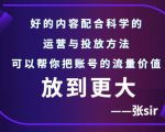 张sir账号流量增长课,告别海王流量,让你的流量更精准-资源云