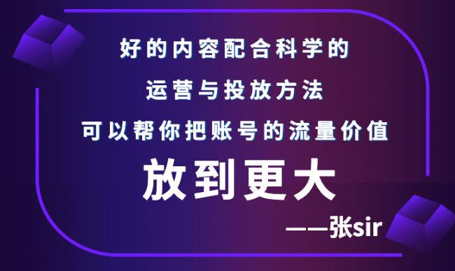 张sir账号流量增长课，告别海王流量，让你的流量更精准-资源云
