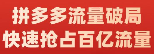 阿杰·拼多多流量破局:如何打黑标，爆款的思路，拼多多流量框架，快速抢占百亿流量-资源云