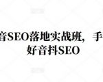 王通·抖音SEO落地实战班,手手带你做好音抖SEO-资源云