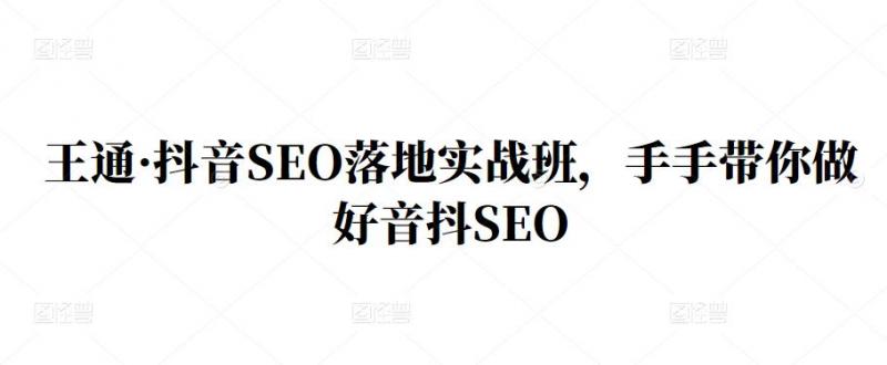 王通·抖音SEO落地实战班，手‬手带你做好音抖‬‬SEO-资源云