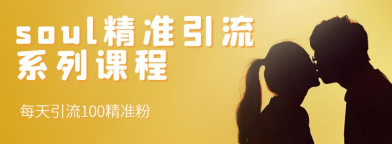 soul精准引流系列课程，每天引流100精准粉-资源云