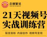 张萌21天视频号实战训练营,裂变涨粉、内容创作、视频号变现 价值298元-资源云