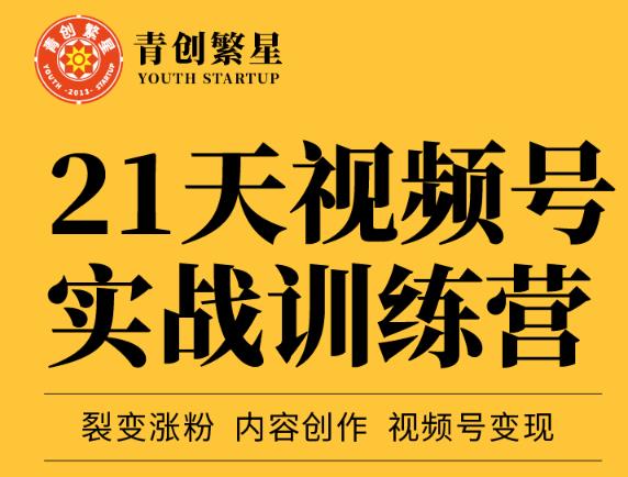 张萌21天视频号实战训练营，裂变涨粉、内容创作、视频号变现 价值298元-资源云