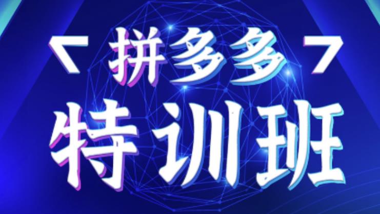 星雪教育·拼多多基础班+进阶班+突破班，用系统的学习模式快速改变现状价值3580元-资源云