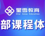 星雪教育淘系高级班,更全的运营提升方案,零基础由浅入深,店铺最新玩法-资源云