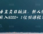 虚拟项目垂直类目玩法,新人快速起店,月入5000+【视频课程】-资源云