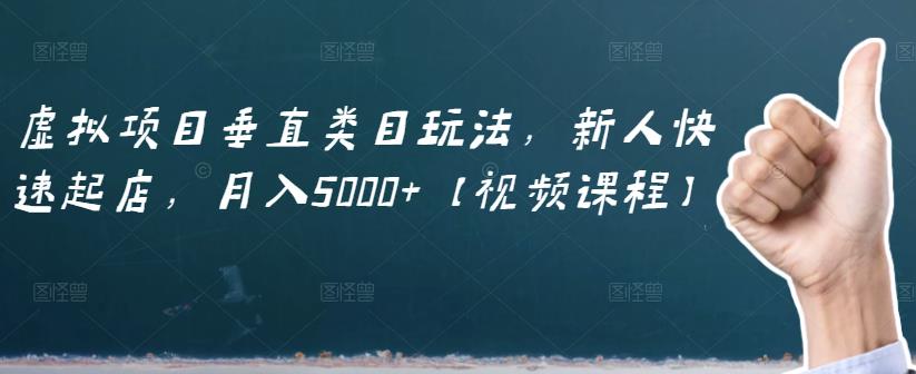 虚拟项目垂直类目玩法，新人快速起店，月入5000+【视频课程】-资源云