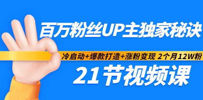 百万粉丝UP主独家秘诀：冷启动+爆款打造+涨粉变现2个月12W粉（21节视频课)-资源云