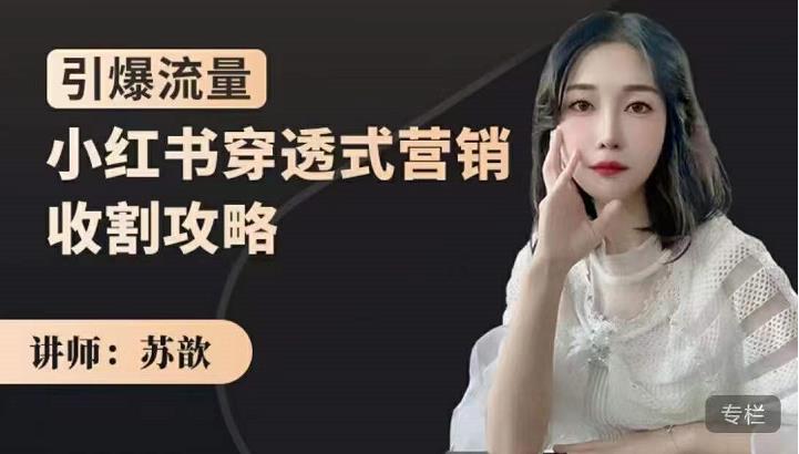 苏歆：小红书穿透式营销收割攻略，引爆流量，助你玩转小红书-资源云