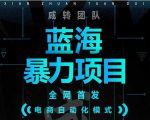 引流哥蓝海暴力躺赚项目:无需发圈无需引流无需售后,每单赚50-500(教程+线报群)-资源云