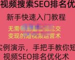 宋老师·短视频搜索SEO优化,教你10分钟创作一个短视频,三天排名上第一-资源云