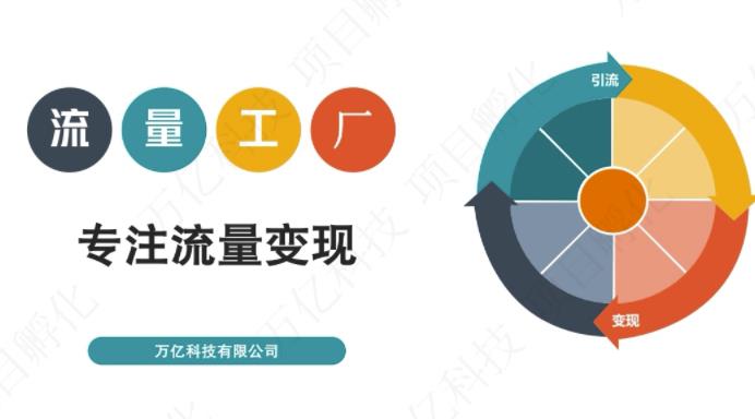 收费3980的流量工厂回粉项目，号称1个粉10元【详细玩法教程解析】-资源云