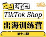 TikTokShop出海训练营（第十三期），打开全球流量新思维，出海抢占全球新流量，一店卖全球-资源云