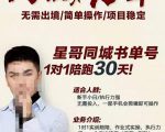星哥同城教育书单号课程，无需出境简单操作项目稳定-资源云