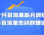 Peter抖音流量新兵训练营-破解抖音流量密码群爆训练营(新兵)-资源云