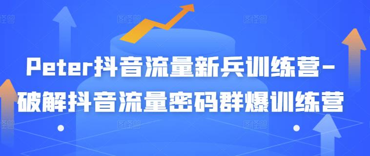 Peter抖音流量新兵训练营-破解抖音流量密码群爆训练营（新兵）-资源云