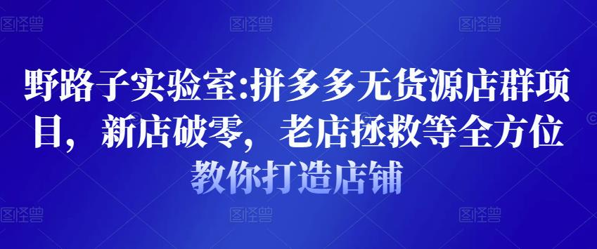 野路子实验室:拼多多无货源店群项目，新店破零，老店拯救等全方位教你打造店铺-资源云