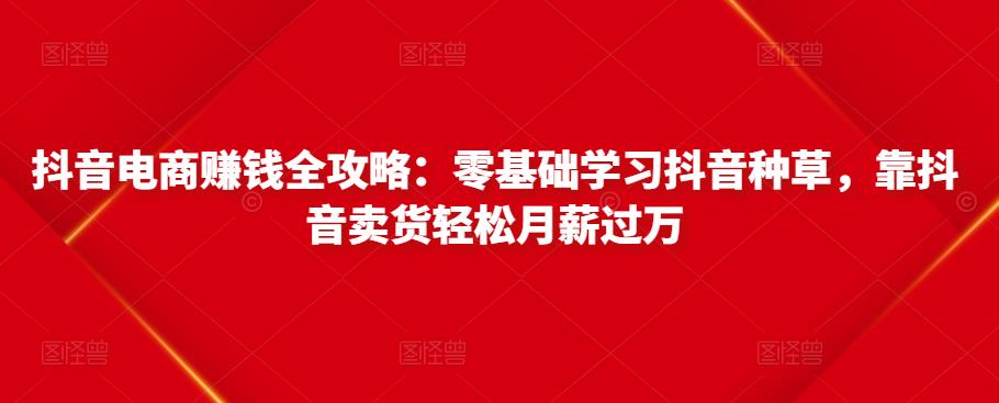 抖音电商赚钱全攻略：零基础学习抖音种草，靠抖音卖货轻松月薪过万-资源云