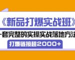 凌童《新品打爆实战班》,一套完整的实操实战落地方法，打爆链接超2000+（28节课)-资源云
