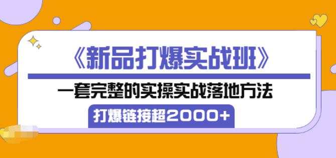 凌童《新品打爆实战班》,一套完整的实操实战落地方法，打爆链接超2000+（28节课)-资源云