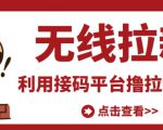 最新接码无限拉新项目,利用接码平台赚拉新平台差价,轻松日赚500+-资源云