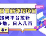 东方财富最新变现项目,利用接码平台拉新,多号多撸,日入几百无压力-资源云