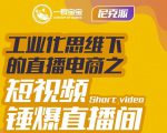 尼克派·工业化思维下的直播电商之短视频锤爆直播间，听话照做执行爆单-资源云
