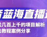 抖音最新蓝海直播玩法，3分钟赚30元，一天轻松1000+，只要你去直播就行【详细玩法教程】-资源云