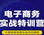 民赛电气内部出品：电子商务实战特训营，全方位带你入门电商，308种方式玩转电商-资源云