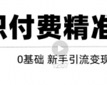 玩转知识付费项目精准引流，给你1套课多账号操作落地方案！-资源云