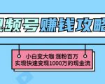 玩转微信视频号赚钱:小白变大咖涨粉百万实现快速变现1000万的现金流-资源云