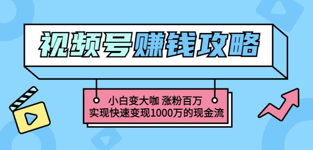 玩转微信视频号赚钱：小白变大咖涨粉百万实现快速变现1000万的现金流-资源云