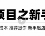 虚拟项目快速起店模式，0成本打造月入几万虚拟店铺！-资源云