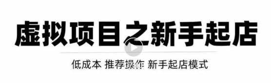 虚拟项目快速起店模式，0成本打造月入几万虚拟店铺！-资源云