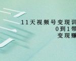 11天视频号变现训练营,从0到1打造变现赚钱系统(价值398元)-资源云