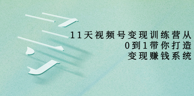 11天视频号变现训练营，从0到1打造变现赚钱系统（价值398元）-资源云