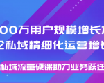 8000万用户规模增长方法论私域精细化运营增长，私域流量硬课助力业务跃迁-资源云