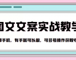 抖音图文文案实战教学,一部手机,有手就可以做,可多号操作获取收益-资源云