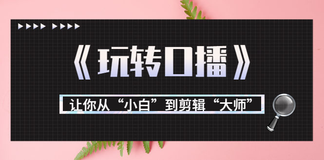 月营业额700万+大佬教您《玩转口播》让你从“小白”到剪辑“大师”-资源云