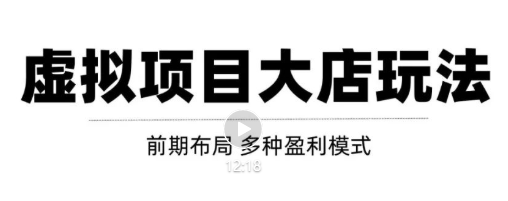 虚拟项目月入几万大店玩法分享，多店操作利润倍增（快速起店盈利）-资源云