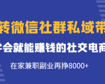 玩转微信社群私域带货,学会就能赚钱的社交电商,在家兼职副业再挣8000+-资源云
