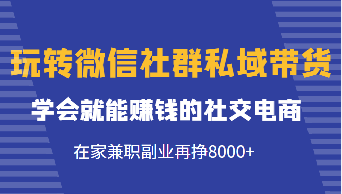 玩转微信社群私域带货，学会就能赚钱的社交电商，在家兼职副业再挣8000+-资源云
