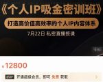 个人IP吸金密训班,打造高价值高效率的个人IP内容体系(价值12800元)-资源云