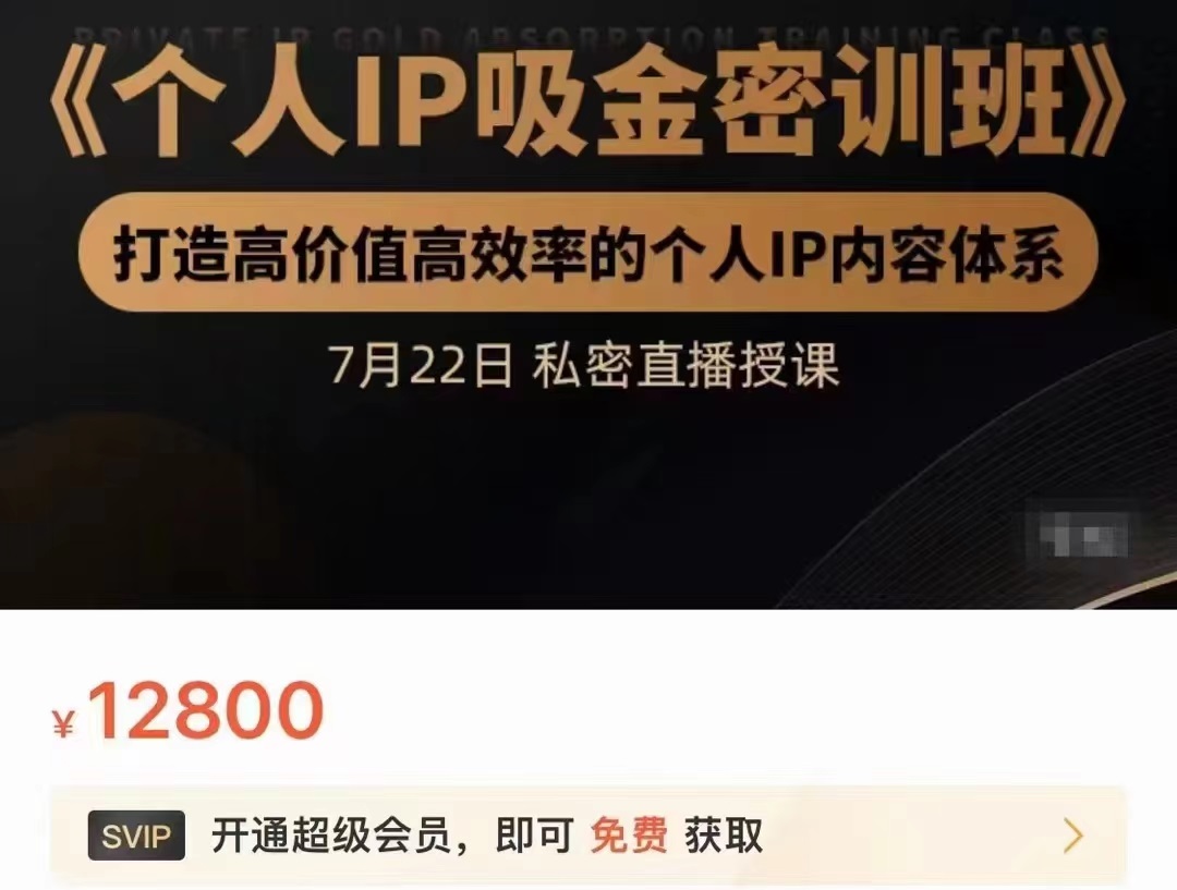 个人IP吸金密训班，打造高价值高效率的个人IP内容体系（价值12800元）-资源云