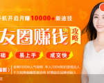 全网千万人气导师亲授:零基础/易上手的朋友圈赚钱攻略,让你轻松月入过万-资源云