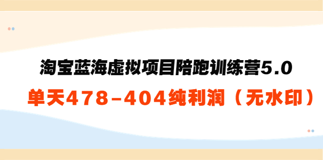 淘宝蓝海虚拟项目陪跑训练营5.0：单天478纯利润-资源云