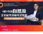 0粉0作品自然流正价起号及稳号全教程,专业自然流起号机构流程化教学(价值2980元)-资源云