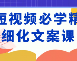 短视频必学精细化文案课，提升你的内容创作能力、升级迭代能力和变现力（价值333元）-资源云