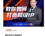 教你如何打造超级IP,抖音流量红利新机遇(价值980元)-资源云